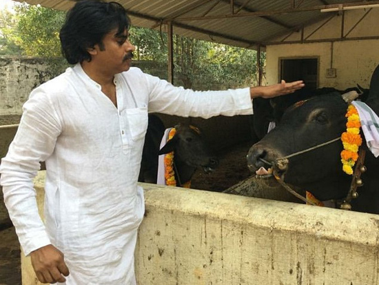 Pawan Kalyan Latest Photos